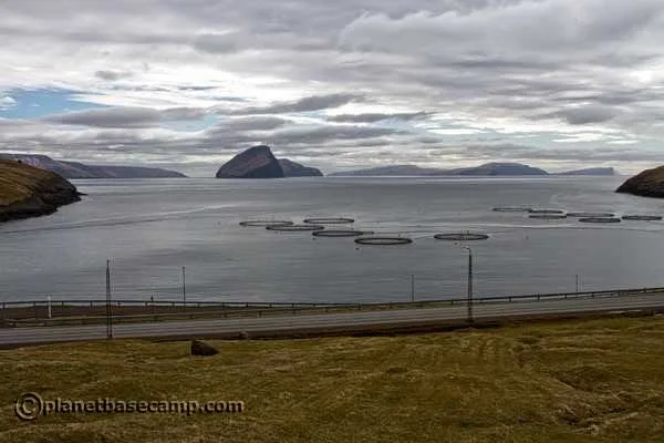 Salmon Farming - Faroe Islands - Koltur Island