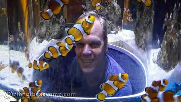 Two Oceans Aquarium - Finding Nemo