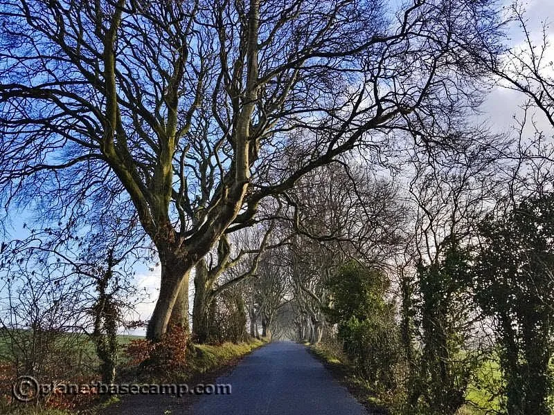 Dark Hedges - Northern Ireland