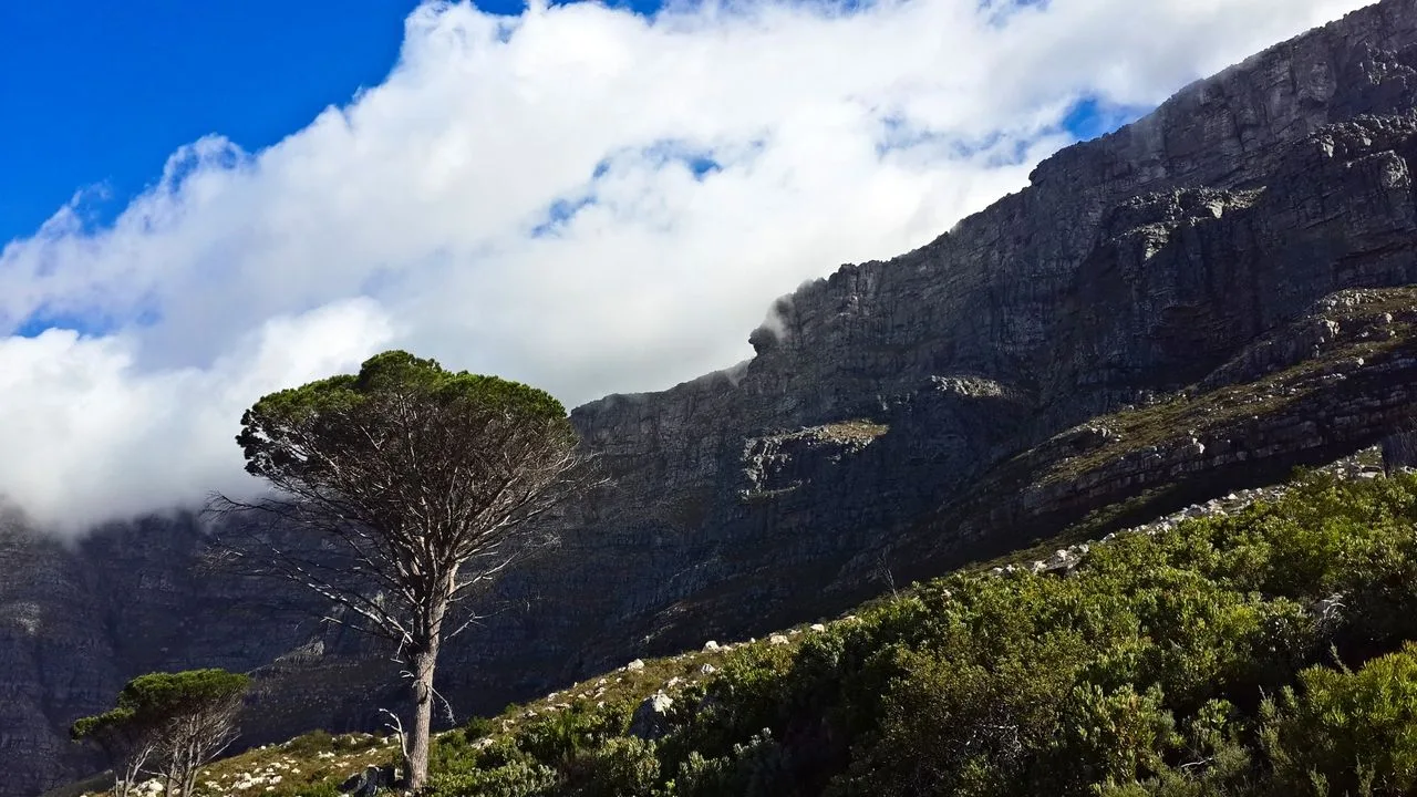 Table Mountain - Cape Town